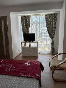 TV a/nebo společenská místnost v ubytování Apartament Adelin + 10 fotografií