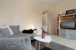 uma sala de estar com um sofá e uma televisão em Haus Sonneninsel Wohnung 5 em Grömitz
