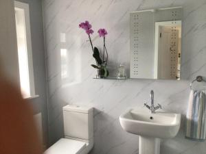 a bathroom with a sink and a toilet and a mirror at Océan Waves in Gorleston-on-Sea