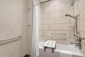 Embassy Suites by Hilton Round Rock的一间浴室