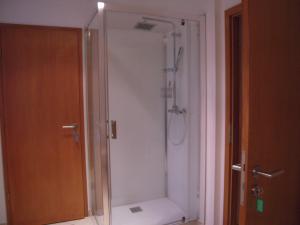 a shower with a glass door in a bathroom at Bel appartement de charme de 70 m2 in Thannenkirch