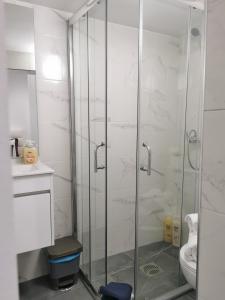 La salle de bains est pourvue d'une douche avec une porte en verre. dans l'établissement Ricky House Big Waves, à Nazaré