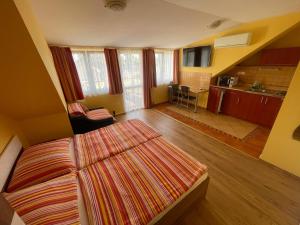 Großes Zimmer mit einem Bett und einer Küche. in der Unterkunft Vanessza apartman in Siófok