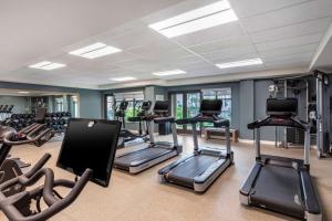 Fitness centrum a/nebo fitness zařízení v ubytování Hilton Grand Vacations Club Maui Bay Villas