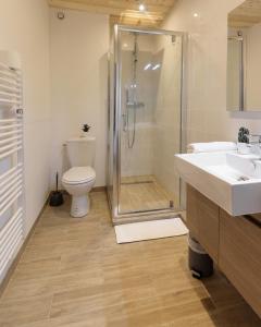 La salle de bains est pourvue d'une douche, de toilettes et d'un lavabo. dans l'établissement Résidence Les Périades, à Chamonix-Mont-Blanc