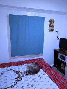 a room with a bed with a blue screen at Homestay BedSpace in Birmingham