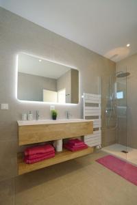 uma casa de banho com um lavatório e um chuveiro com um espelho. em Villa haut de gamme dans un parc de verdure em Tournefeuille