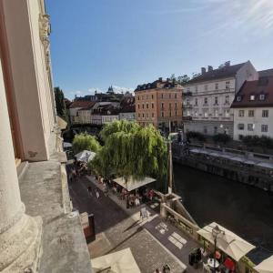 Blick auf eine Stadt mit Fluss und Gebäuden in der Unterkunft philip mansion in Ljubljana