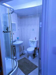 a bathroom with a shower and a toilet and a sink at Homestay BedSpace in Birmingham