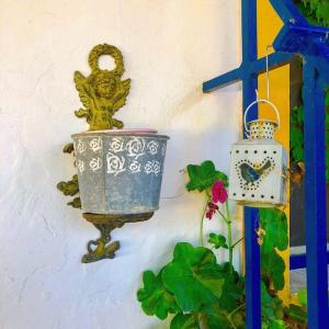 波塔萊格雷的住宿－Casa no Campo T3 e Piscina de PortusAlacer，墙上有锅,钟和植物