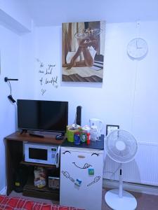 a room with a refrigerator and a tv and a fan at Homestay BedSpace in Birmingham