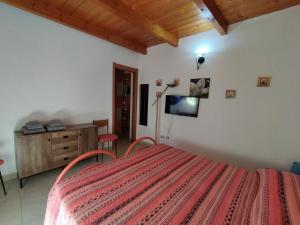 a bedroom with a bed and a television in a room at CARRELA 'E BRETA in Thiesi