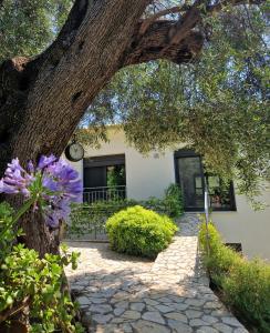 Zahrada ubytování Villa Olivia