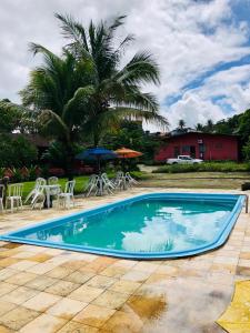 a swimming pool with chairs and umbrellas and a palm tree at Pousada Aba da Serra in São Joaquim do Monte