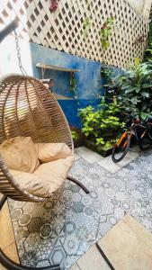 Astra Boutique Hotel في إسطنبول: كرسي الخوص جالس على فناء بجوار بعض النباتات