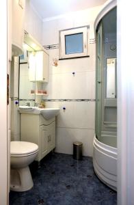 a bathroom with a toilet and a sink and a shower at Medulić studio for 2 in old town with free parking in Šibenik