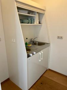 a small kitchen with a sink in a white cabinet at Antonappartements in Dresden +2 photos