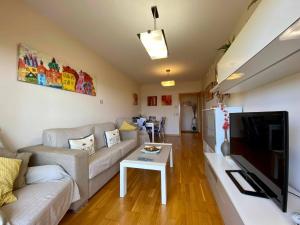 TV a/nebo společenská místnost v ubytování A&N La Vega 10