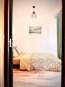 1 dormitorio con 1 cama y luz colgante en Chambre privée, en Roubaix