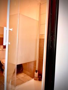 W łazience znajduje się prysznic ze szklanymi drzwiami. w obiekcie Chambre privée w mieście Roubaix