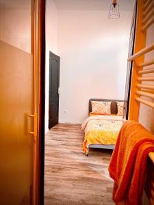 1 dormitorio con 1 cama en una habitación en Chambre privée, en Roubaix