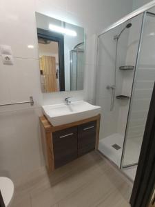 a bathroom with a sink and a shower at Apartamento full equip. in Bilbao