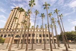un grupo de palmeras frente a un edificio en Signia by Hilton San Jose, en San José