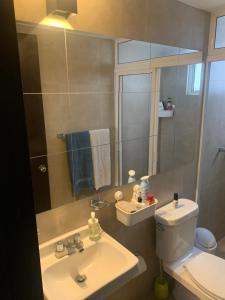 y baño con lavabo, aseo y espejo. en Private Room at The Zen Den en Ciudad de México