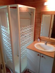a bathroom with a sink and a shower and a mirror at Chalet les Hameaux du Perrier in Lissac-sur-Couze