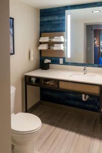 a bathroom with a sink and a toilet and a mirror at Hilton Garden Inn Mattoon, IL in Mattoon