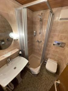 a bathroom with a shower and a sink and a toilet at Hotel Garni Ratstube in Bad Urach