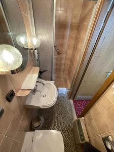 uma casa de banho com um WC, um lavatório e um chuveiro em Hotel Garni Ratstube em Bad Urach