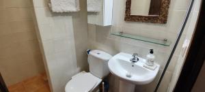 a small bathroom with a toilet and a sink at Cortijo Opazo in Pórtugos