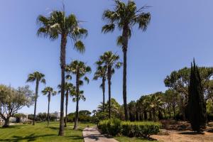 גינה חיצונית ב-Domes Lake Algarve, Autograph Collection