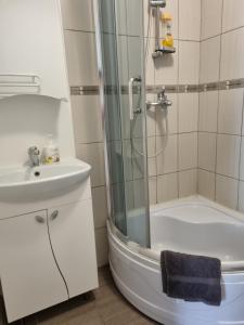 een badkamer met een douche, een toilet en een wastafel bij Apartamentai Jūratės g.34 in Palanga
