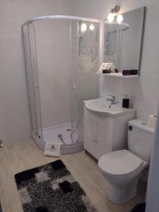 uma casa de banho com um chuveiro, um WC e um lavatório. em Apartment Rezidence em Suceava