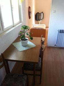 een eettafel met een potplant erop bij Školjka 5 in Crikvenica