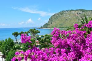 Foto dalla galleria di Hotel Acquasanta a Terracina Altre 45 foto