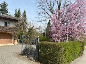 einen Zaun vor einem Haus mit einem blühenden Baum in der Unterkunft Apartments in Leafy Suburb in Kehrsatz