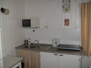 uma pequena cozinha com um lavatório e um micro-ondas em Chata Čeřovský Harrachov em Harrachov