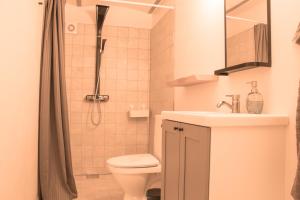a bathroom with a shower and a toilet and a sink at Berits Bed and Breakfast in Haderslev