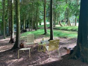 trzy krzesła i stół w lesie w obiekcie Willow Lodge w Dublinie