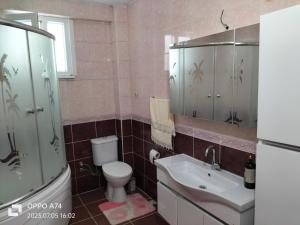 ein Bad mit einem WC, einem Waschbecken und einer Dusche in der Unterkunft Gündoğdu 