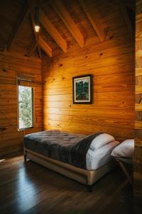ポサーダスにあるIrová Apart Hotelの木製の部屋にベッド1台が備わるベッドルーム1室があります。