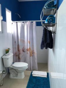 La salle de bains est pourvue de toilettes et d'un rideau de douche. dans l'établissement Villa Segovia, à Cozumel