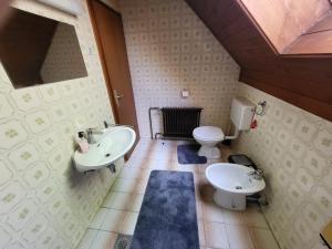 a bathroom with a sink and a toilet and a mirror at Rooms MARETČ in Bohinj
