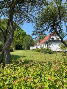 Zahrada ubytování Berits Bed and Breakfast