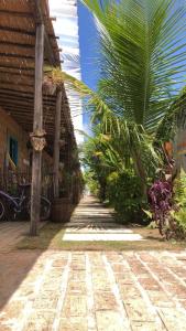 a pathway leading to a building with a palm tree at chale aparecida dos milagres in São Miguel dos Milagres