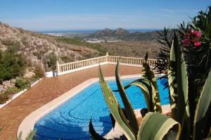 a house with a swimming pool and a cactus at Casa Lobo in Pedreguer