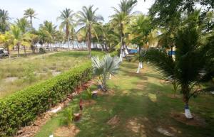 an aerial view of a park with palm trees at Cabaña RECUERDO Lodge, B & B in Moñitos